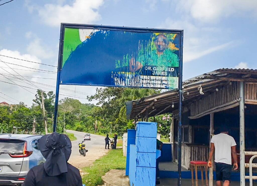 McKenzie condemns vandalism of JLP signs - Jamaica Observer