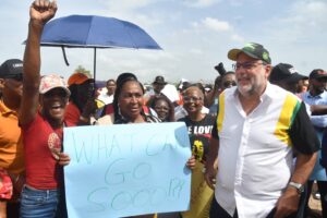 Protests just about political posturing - Jamaica Observer