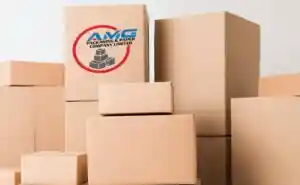 AMG Packaging brings in specialist as costs squeeze profits - Jamaica ...