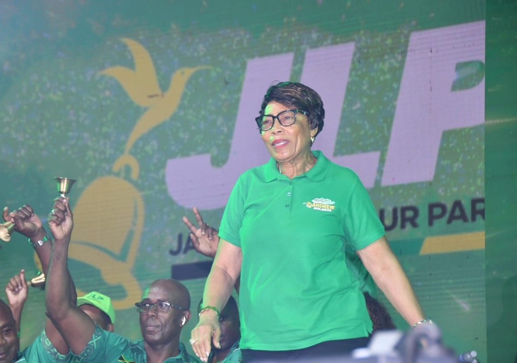 In pictures: Big turnout for JLP rally as PM announces election date ...