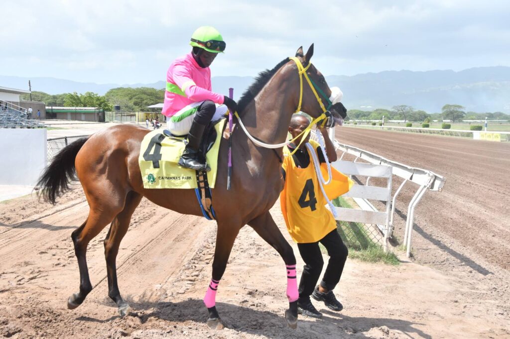 Sir Don to make light work of rivals