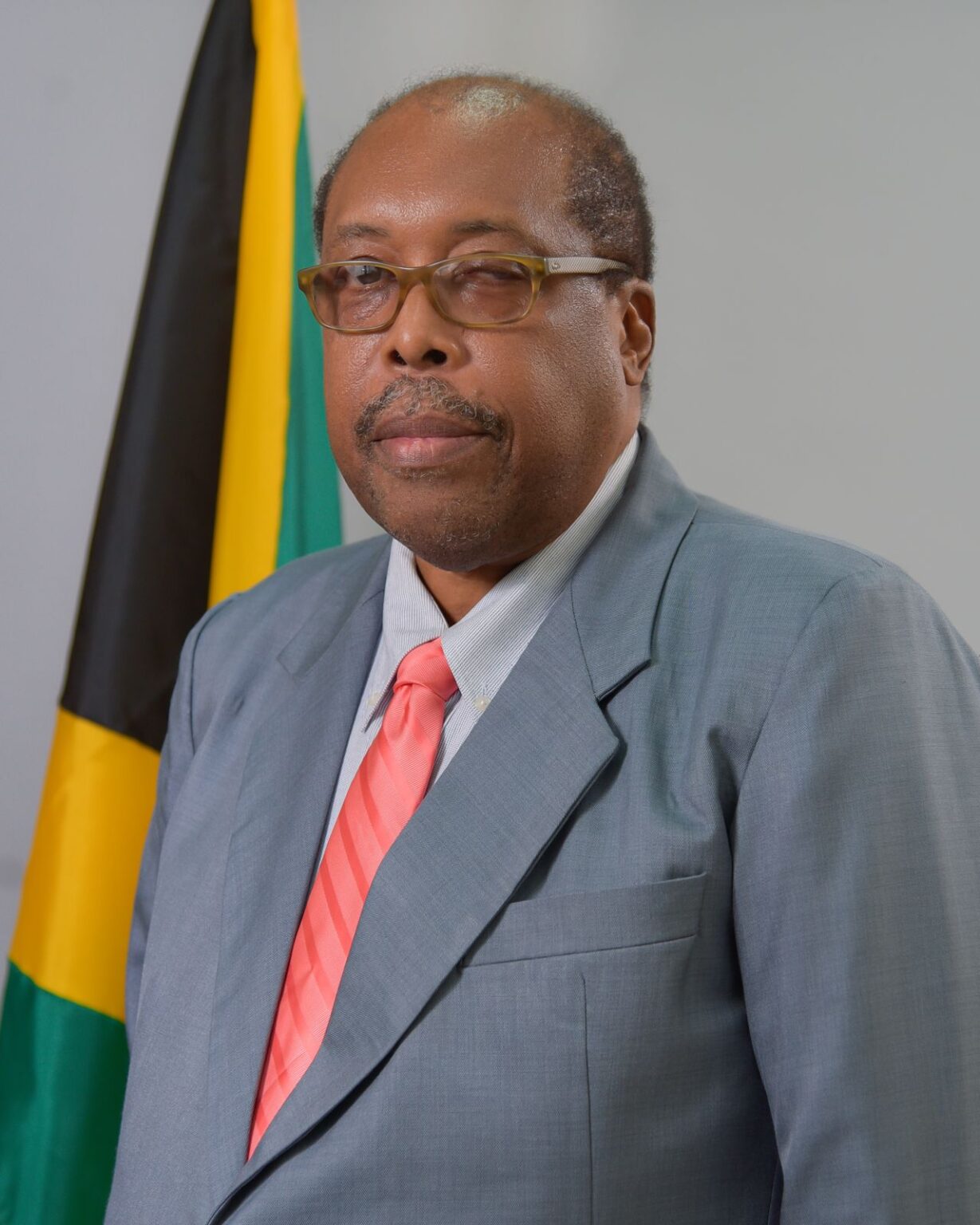 D&G Foundation gives big boost - Jamaica Observer