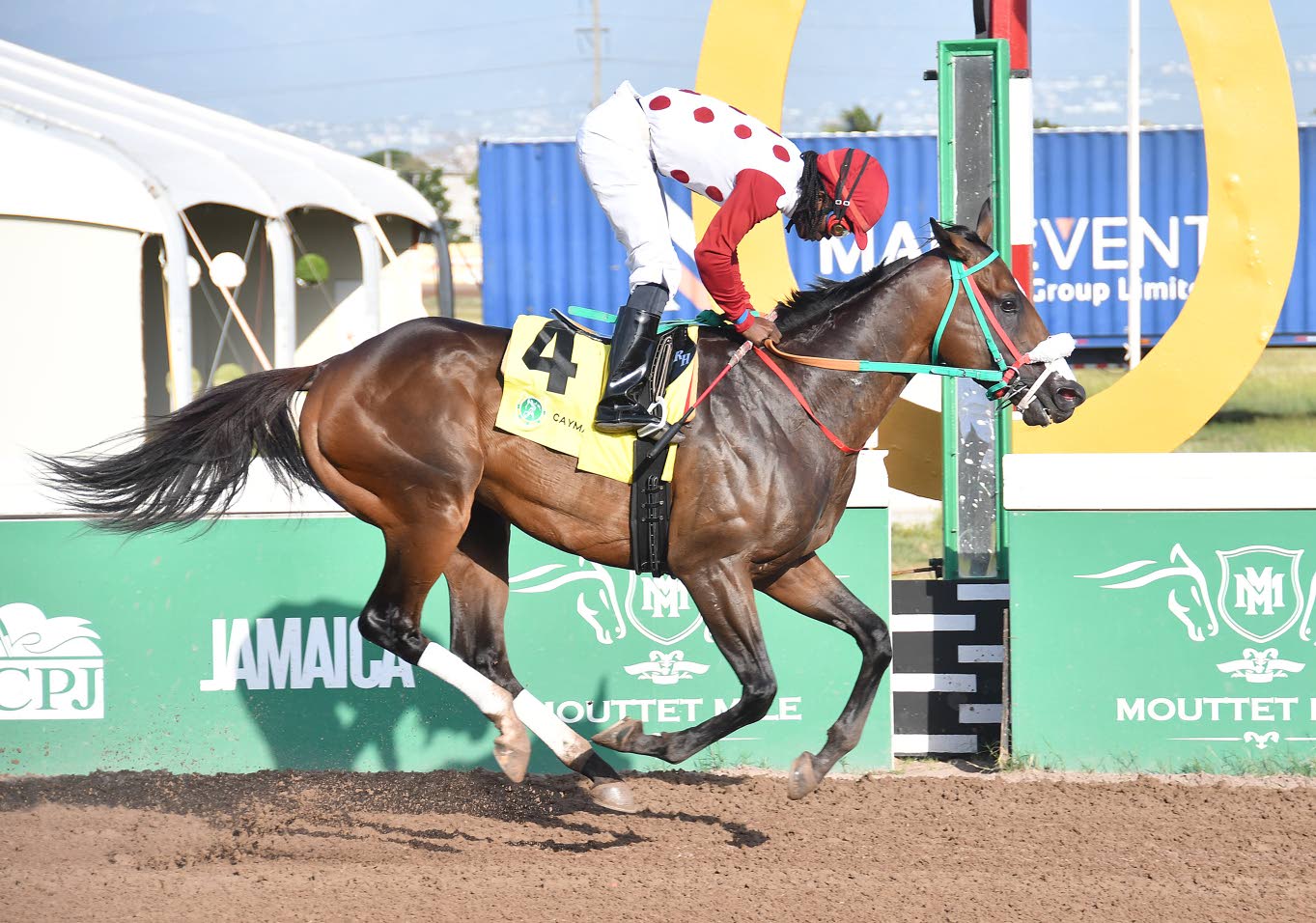 Is That A Fact favoured in ‘Big Sub’ Memorial race - Jamaica Observer