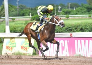 Trainer Anthony Nunes cautiously optimistic about Sir Don’s progress