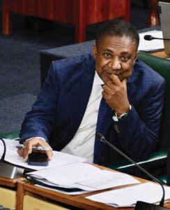 Paulwell calls for strategic action to unlock rare earth minerals from bauxite residue