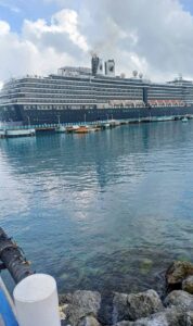 Ochi floating with the tide