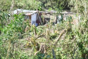 Driver flees after being caught with carcasses