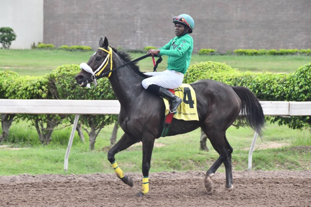 CLAIMS MADE ON SATURDAY, NOVEMBER 15, 2025