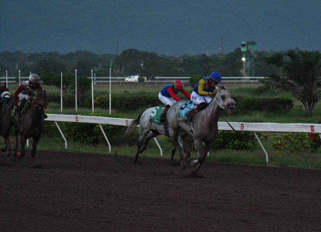 Mojito earns Mouttet Mile berth with dominant Jamaica Cup performance