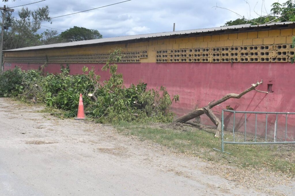 ‘PIVOT AND KEEP GOING’