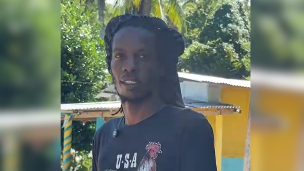 Agricultores de Portland Agradecem Após Perdas Devastadoras do Furacão: A Esperança Renasce!