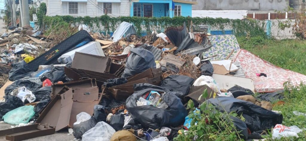 McKenzie orders immediate clean-up of hurricane debris in Falmouth