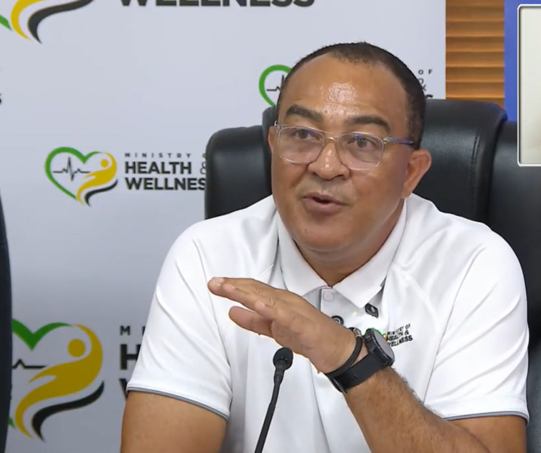 Health minister confirms increase in leptospirosis cases and deaths