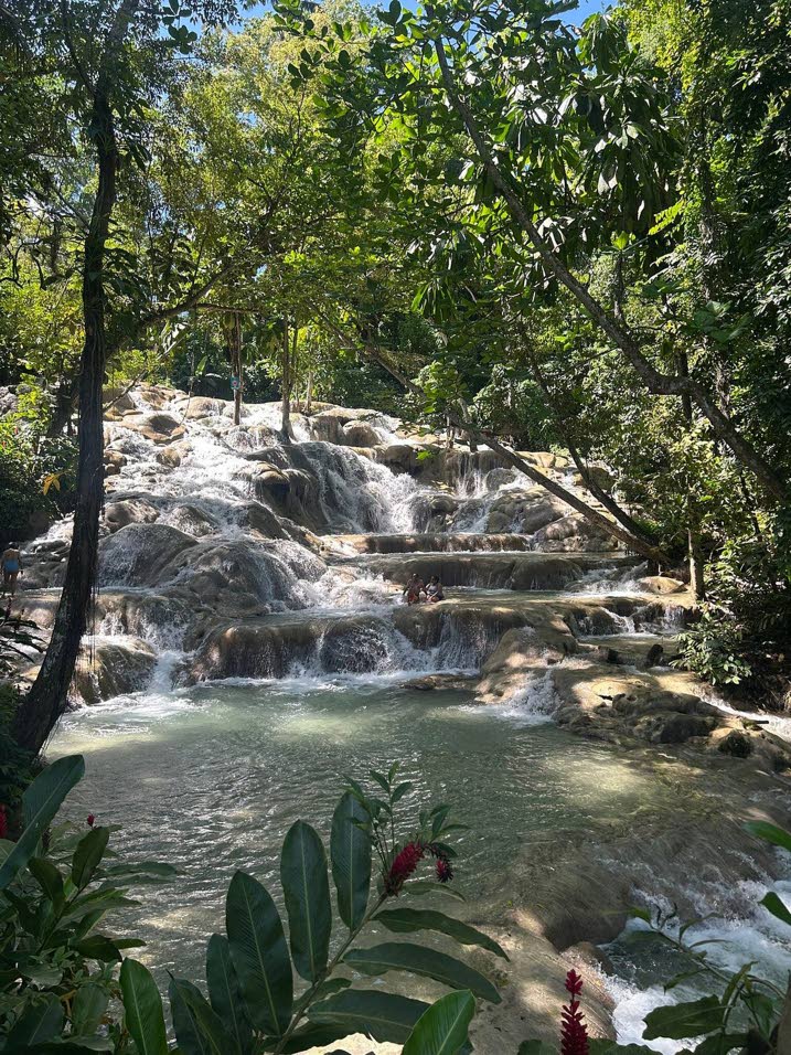 Key attractions reopen to the public — UDC