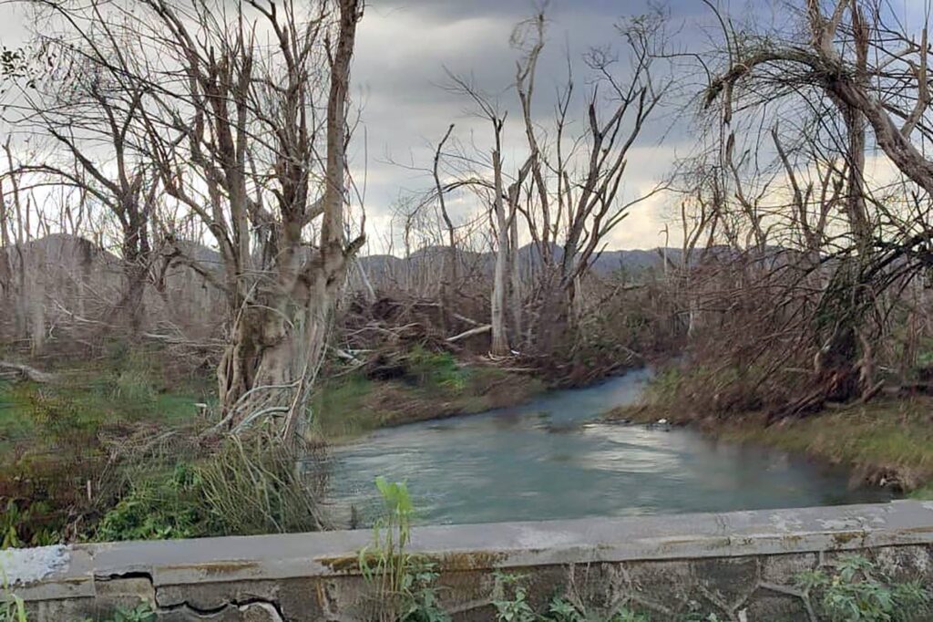 Água Grátis? Autoridades Alertam Sobre Perigos das Novas Nascentes Após a Tempestade