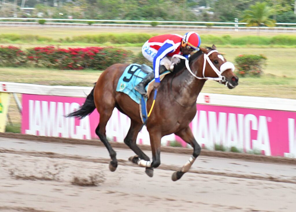 Jamaica Cup showdown: Funcaandun favoured to win