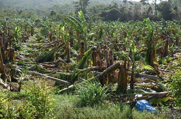 Weather Protect triggered