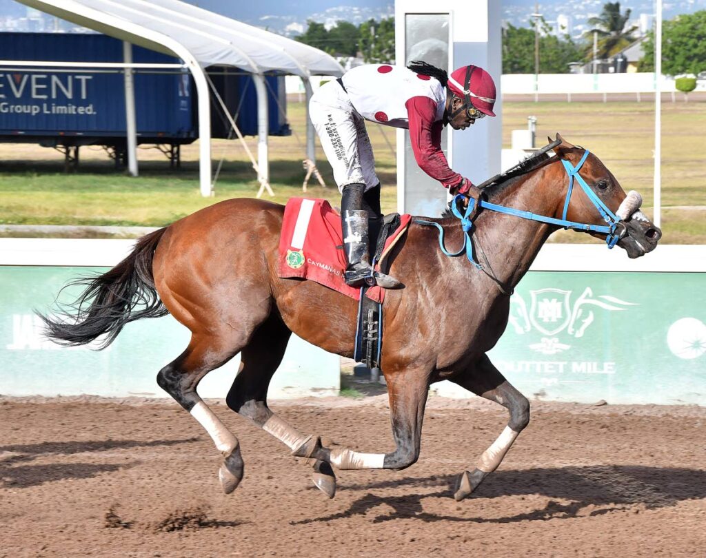 Funcaadun leads 21-horse field provisionally entered in Jamaica Cup