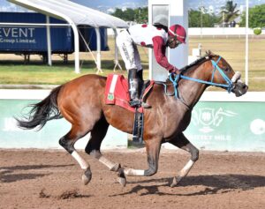 Funcaadun leads 21-horse field provisionally entered in Jamaica Cup