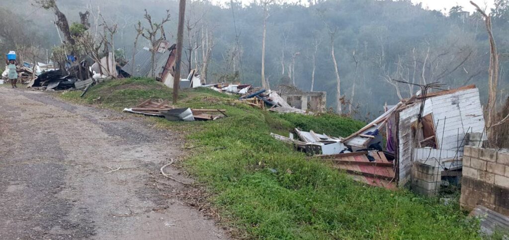 Residents of flooded McNeil Lands need sanitation supplies urgently, says councillor