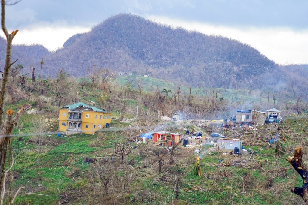 Damage to Jamaica’s forests by Melissa up to 100 per cent in some areas – Samuda