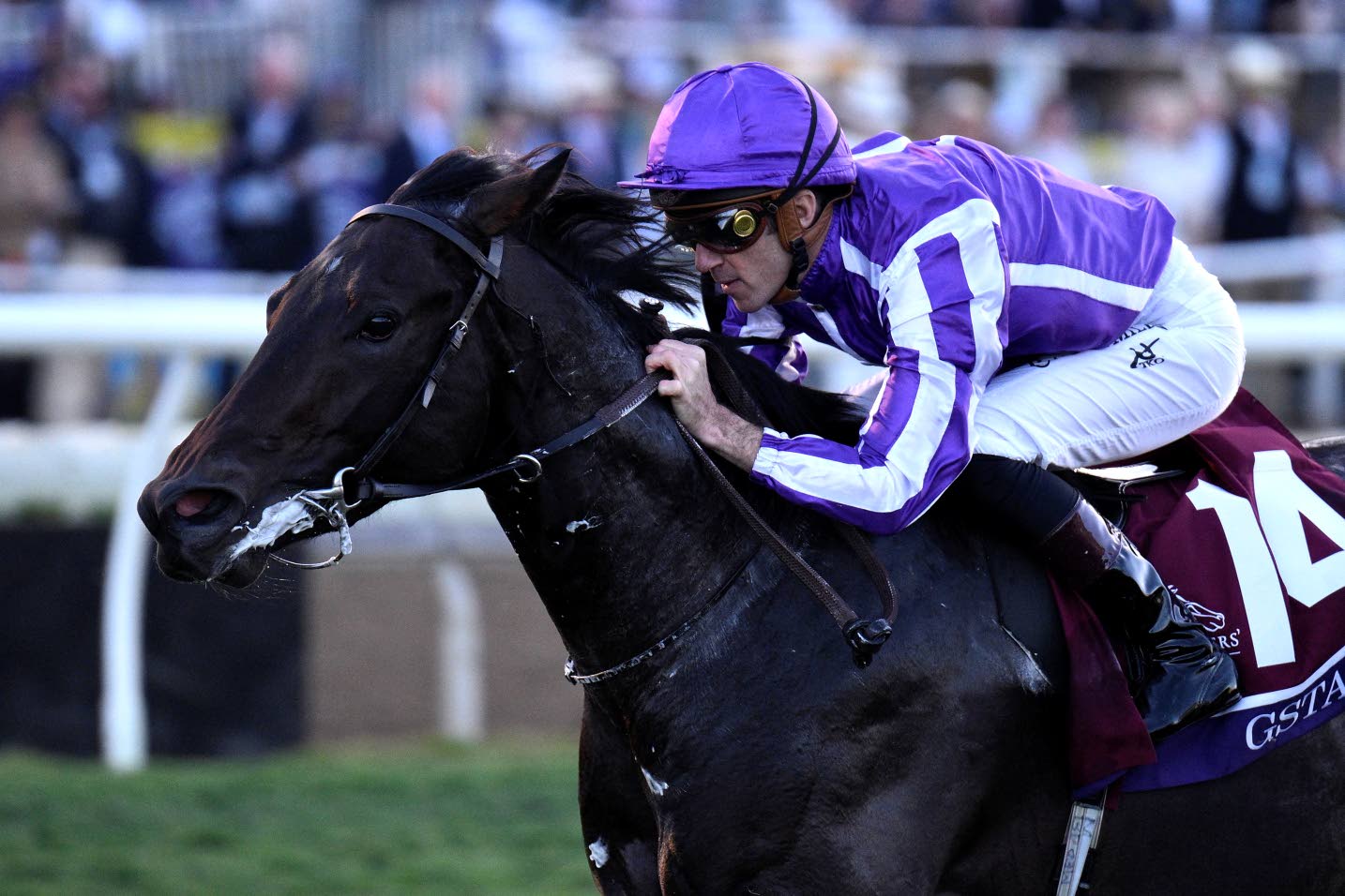 Gstaad gives O'Brien record 21st Breeders' Cup win - Jamaica Observer
