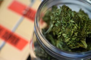 Jamaica watching reported planned US shift on cannabis, says Seiveright