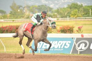 Taylor Made blazes to victory in SunnySide Stakes début