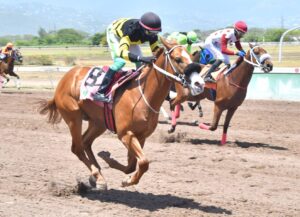 21 horses provisionally entered in 113th Jamaica 2-Y-O Stakes