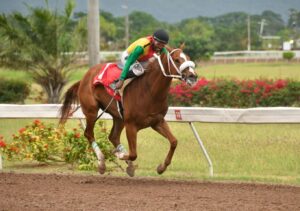 Brahma Bull scores second career win