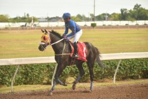 RACING SNAPS FOR SUNDAY, DECEMBER 21, 2025