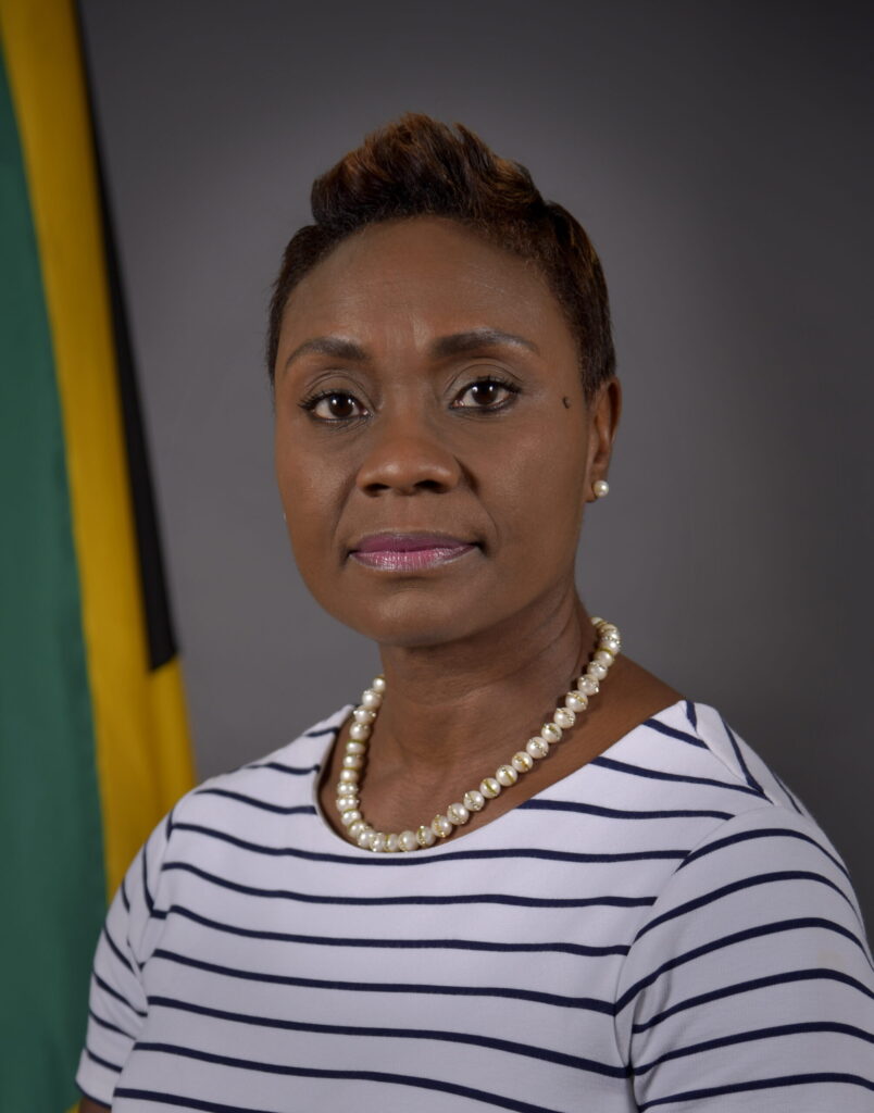 PNP Demands Clarity from Minister on Illicit Enrichment Probe
