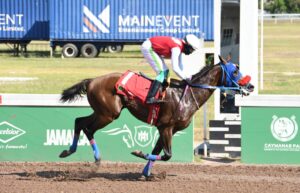 Peter-John Parsard shines with three winners at Caymanas Park