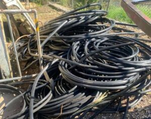 Small clique, big damage