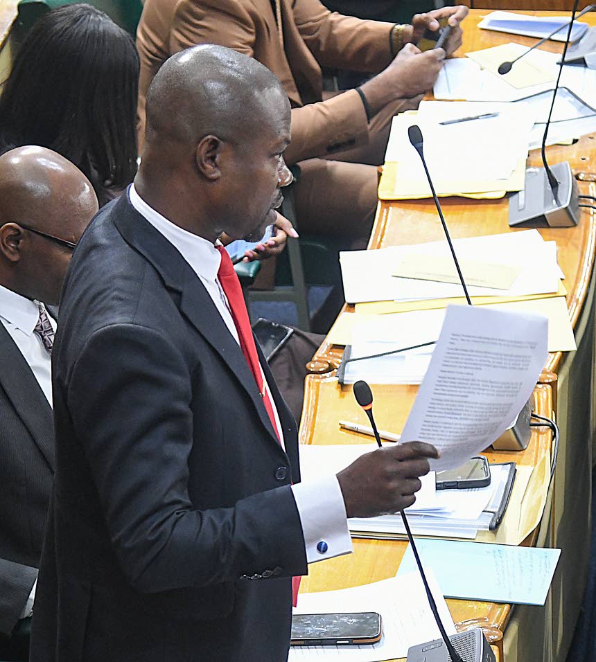 Opposition MP wants stronger legal protection for utilities