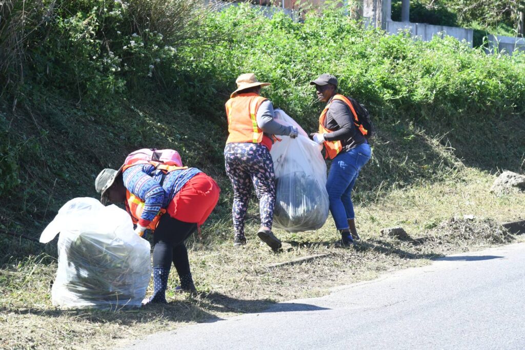 Landscapers love opportunity to beautify Jamaica