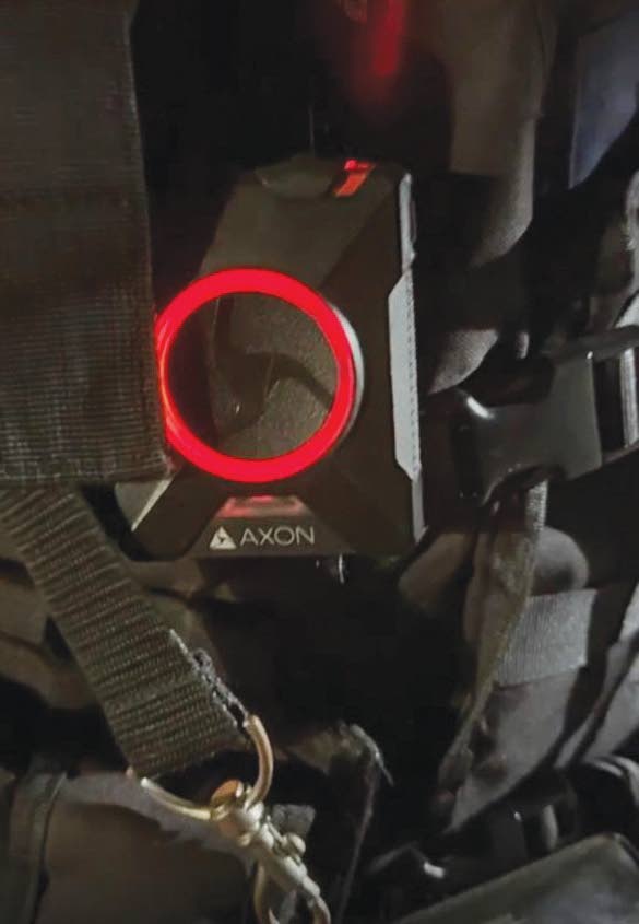 What happen, cat got your tongue?