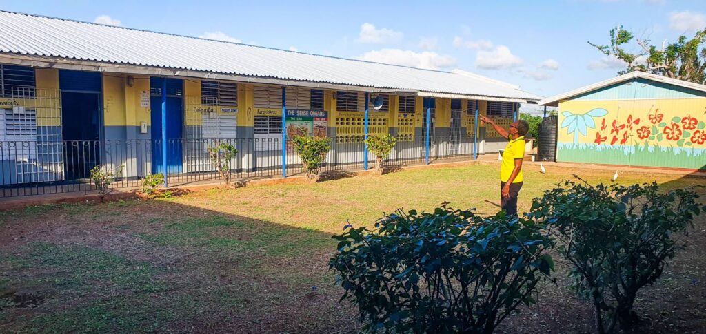 Realigning Jamaica’s early childhood sector in a time of crisis