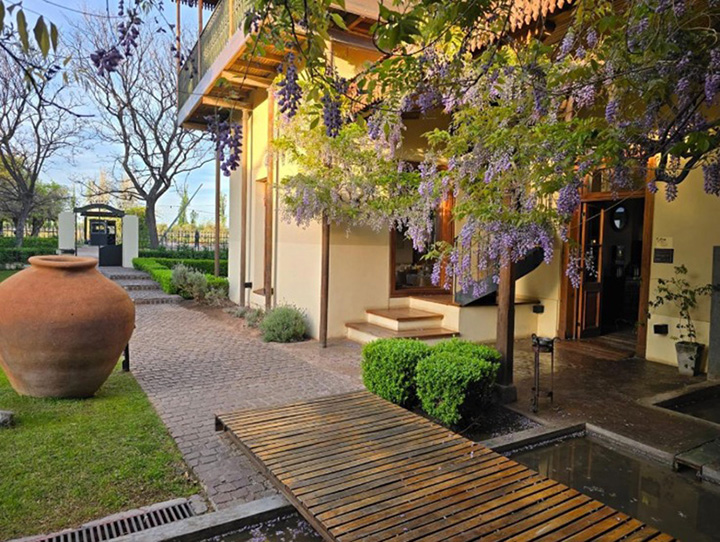 Wine Travel and Tourism Trends 2026