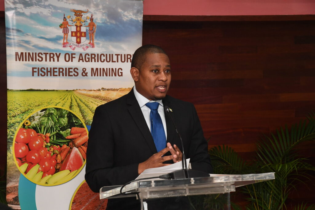 ‘We will feed Jamaica’