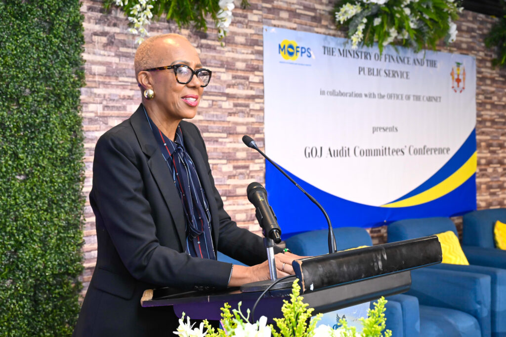 Role of GOJ audit committees in hurricane recovery transparency underscored