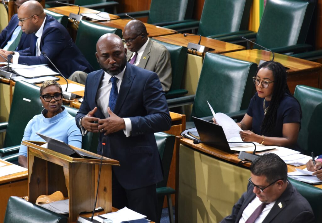 House opens debate on cybercrime bill to bolster child protection and law enforcement