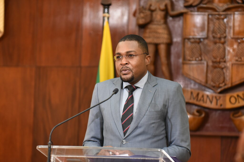 Works Minister commends Swaby’s road patching programme but calls for transparency