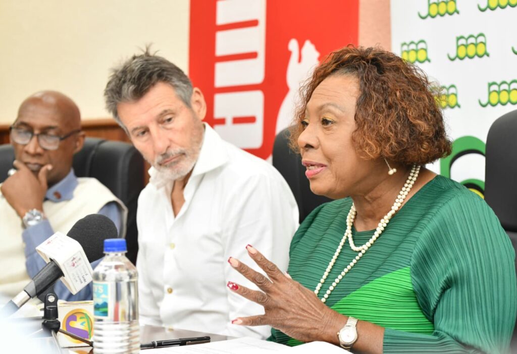 Redevelopment work for National Stadium to commence July 2027