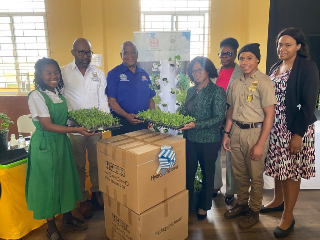 Manchester schools benefiting from hydroponics