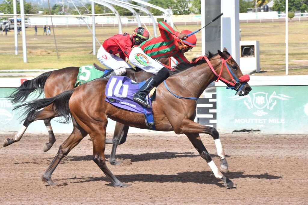Revisiting Jamaica’s most unforgettable horse racing moments of 2025