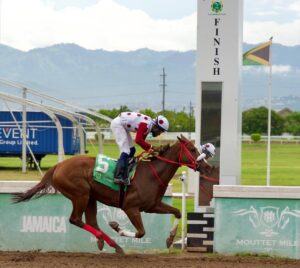 Mamma Mia, Comehometome retired from racing, heading to breeding shed