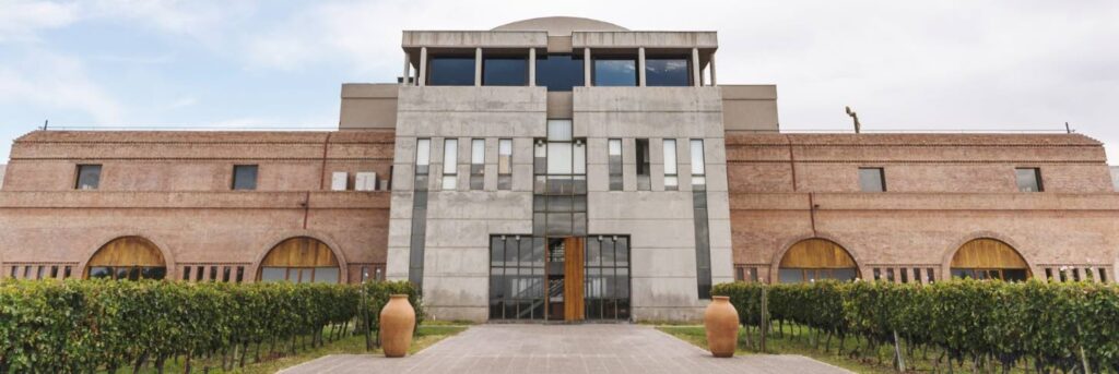 New World Wines of the Uco Valley