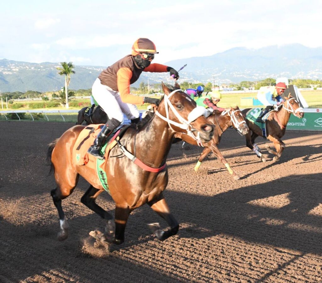 Money Market the big winner in Reggae Month Trophy