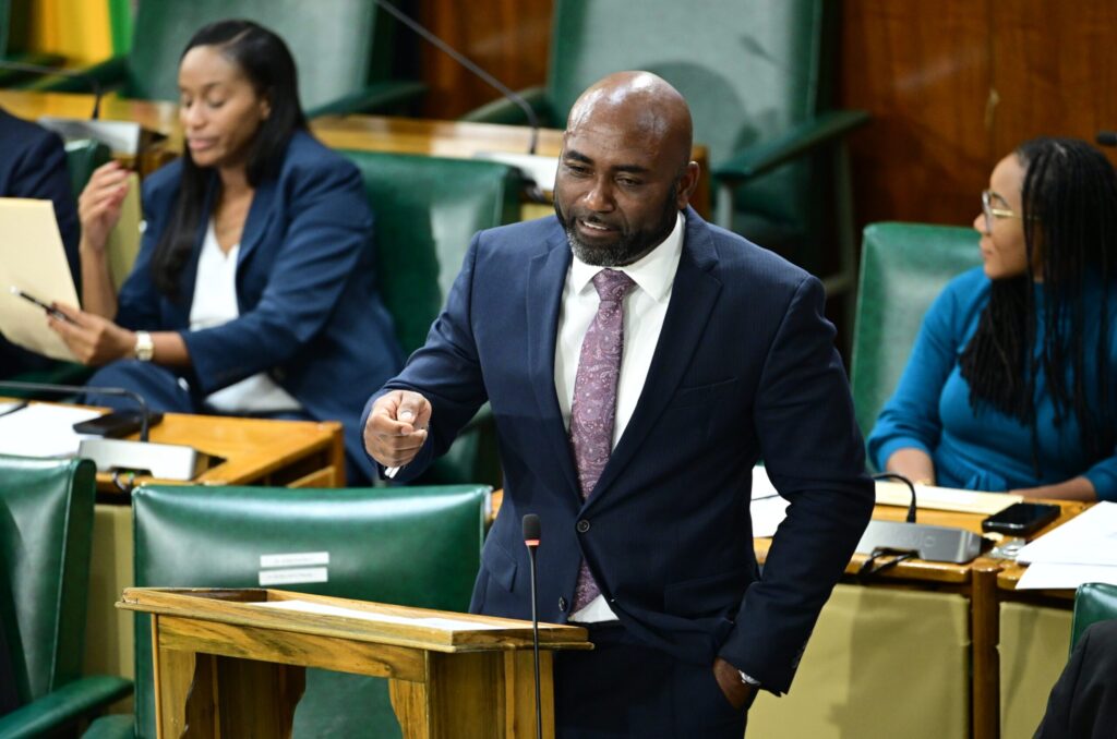 Judge shortage delays Jamaica data protection committee